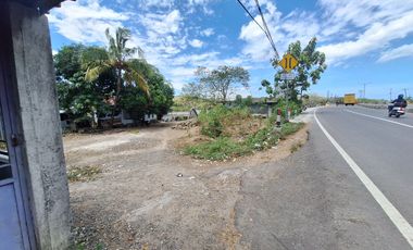 Tanah Tambak Produktif di Lokasi yang strategis Akses Langsung ke Jalan Nasiona
