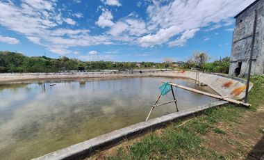 Tanah Tambak Produktif di Lokasi yang strategis Akses Langsung ke Jalan Nasiona