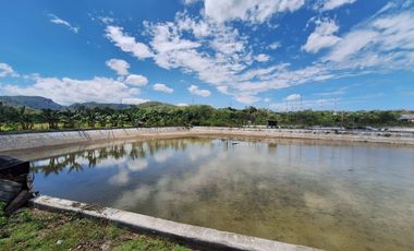 Tanah Tambak Produktif di Lokasi yang strategis Akses Langsung ke Jalan Nasiona