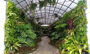 Dijual rumah mewah dalam cluster elit dekat sekolah Kusuma Bangsa Palembang