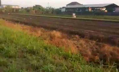 TANAH INDUSTRI DEMAK JATENG, LUAS 9800M2