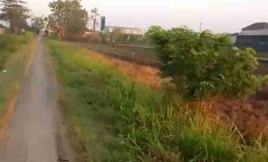 TANAH INDUSTRI DEMAK JATENG, LUAS 9800M2