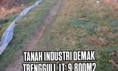 TANAH INDUSTRI DEMAK JATENG, LUAS 9800M2