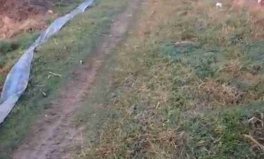 TANAH INDUSTRI DEMAK JATENG, LUAS 9800M2