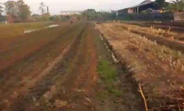 TANAH INDUSTRI DEMAK JATENG, LUAS 9800M2