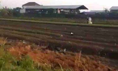 TANAH INDUSTRI DEMAK JATENG, LUAS 9800M2