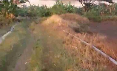 TANAH INDUSTRI DEMAK JATENG, LUAS 9800M2