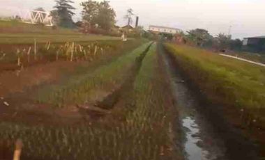 TANAH INDUSTRI DEMAK JATENG, LUAS 9800M2