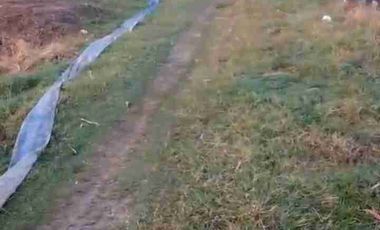 TANAH INDUSTRI DEMAK JATENG, LUAS 9800M2