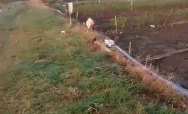 TANAH INDUSTRI DEMAK JATENG, LUAS 9800M2