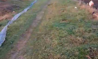 TANAH INDUSTRI DEMAK JATENG, LUAS 9800M2