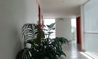 RENTO SUITES AMUEBLADAS DESDE $7,000 INCLUYE SERVICIOS CAMINO REAL