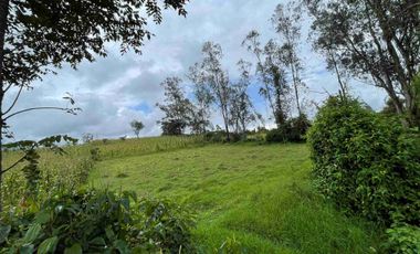 Venta de Terreno en Cotacachi Ecuador