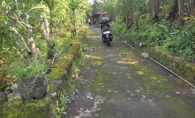 Dijual Tanah Murah SHM Pekarangan di Turi Tempel Sleman