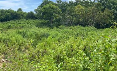 Tanah di jalan utama goa gong ungasan