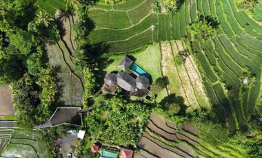 a daily Villa for Sale at Tebola Sidemen Traditional Village Karangasem Bali