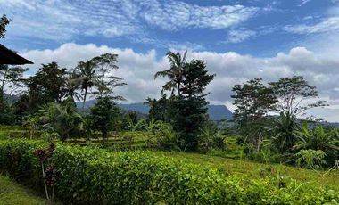 a daily Villa for Sale at Tebola Sidemen Traditional Village Karangasem Bali