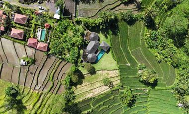 a daily Villa for Sale at Tebola Sidemen Traditional Village Karangasem Bali