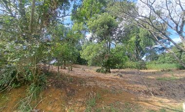 Vendo lote en Haciendas de Potrerito- Piedra Grande zona sur via cali jamundi