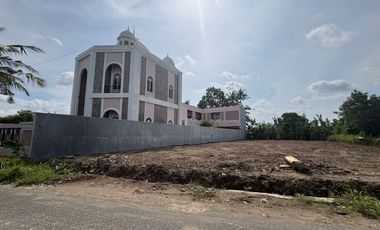 dekat Seturan; Homestay Boxy, Kolam Renang; SHM