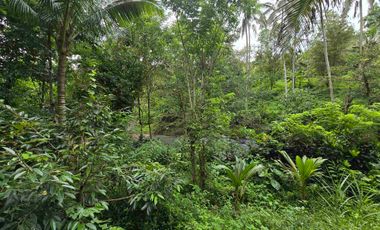 Dijual tanah dengan air terjun dan sungai bebatuan di bali