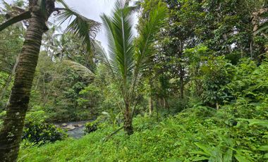 Dijual tanah dengan air terjun dan sungai bebatuan di bali