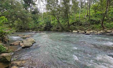 Dijual tanah dengan air terjun dan sungai bebatuan di bali
