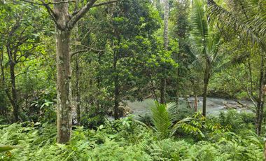 Dijual tanah dengan air terjun dan sungai bebatuan di bali