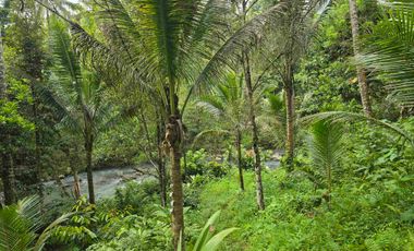 Dijual tanah dengan air terjun dan sungai bebatuan di bali
