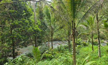 Dijual tanah dengan air terjun dan sungai bebatuan di bali
