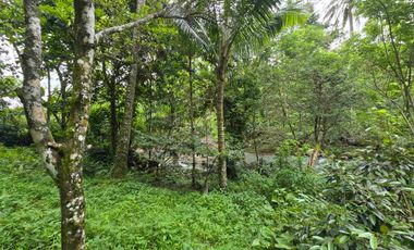 Dijual tanah dengan air terjun dan sungai bebatuan di bali