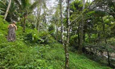 Dijual tanah dengan air terjun dan sungai bebatuan di bali