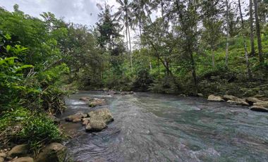 Dijual tanah dengan air terjun dan sungai bebatuan di bali