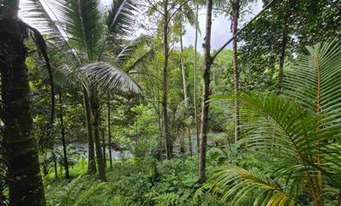 Dijual tanah dengan air terjun dan sungai bebatuan di bali