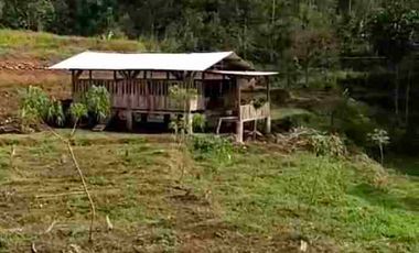 Tanah Pekarangan Di Trawas view Gunung jalan cor