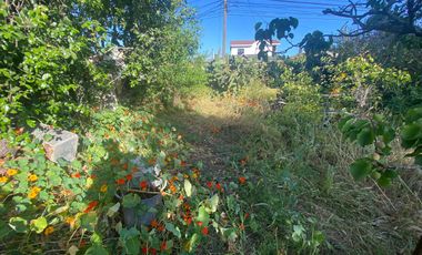 SE VENDE SITIO ESQUINA EN SAN ANTONIO