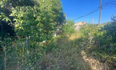 SE VENDE SITIO ESQUINA EN SAN ANTONIO