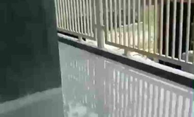 Di Jual Kandang Sapi