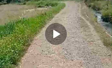 Di Jual Kandang Sapi