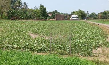 Tanah dijual di Bontosunggu, Galesong Utara, Takalar, Bonto Sunggu, Sulawesi Selatan