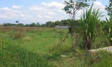 Tanah dijual di Jelobo, Wonosari, Klaten, Jawa Tengah