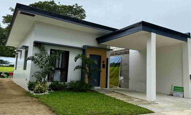 Dogwood Bungalow 2.0