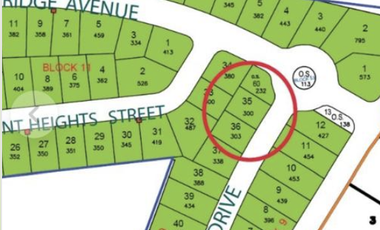 Build Your Dream Home on a Prime Double Lot in Alabang West Village