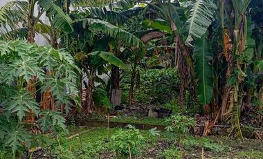 Tanah Siap Bangun Pinggir Jalan Raya Di Pangkalan Jati Depok