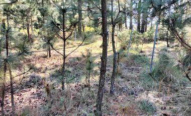 Terreno semi plano en venta a 15 minutos de Omitlan