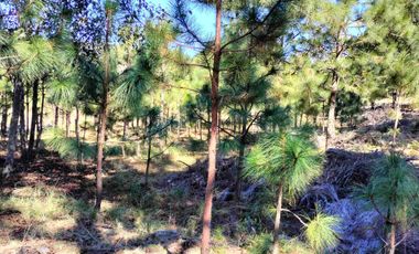 Terreno semi plano en venta a 15 minutos de Omitlan