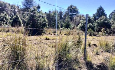 Terreno semi plano en venta a 15 minutos de Omitlan