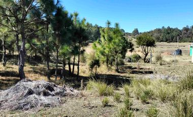 Terreno semi plano en venta a 15 minutos de Omitlan