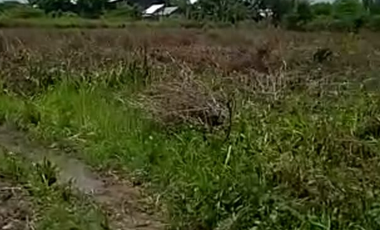 Tanah Area Teluk Golf Surabaya Barat Lebar 20