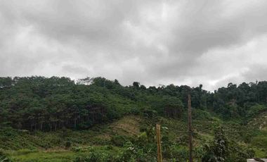 VENTA FINCA AGRÍCOLA- GANADERA MUISNE Km 21 Vía El Salto - Mompiche